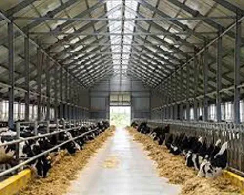 Canlı Hayvan Alım Satım