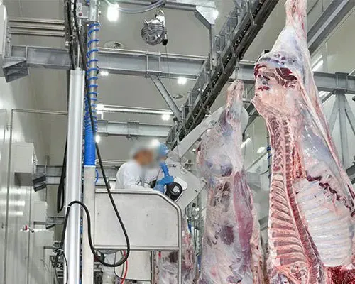 Kapalı Ortamda Hijyenik Kesim